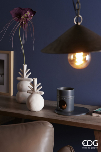 Такка цельнолистная декоративная EDG Tacca бургунди Фото 4