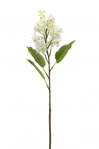 Ветвь сирени декоративная EDG Lilac белый Фото 1