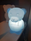 Светильник пластиковый Медвежонок SLIDE Junior Lighting полиэтилен Фото 14
