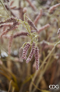 Гребенщик декоративный EDG Tamarisk розовый Фото 4