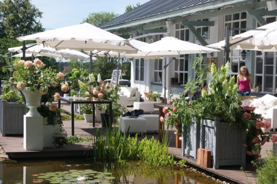 Прованс отель 