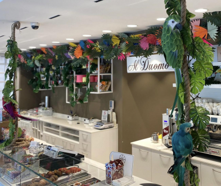 Pasticceria Al Duomo, Тревизо, Италия