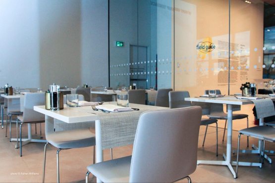 Remai Modern Museum, Саскачеван, Канада