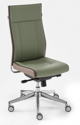 Стул компьютерный-thumbs-Фото1