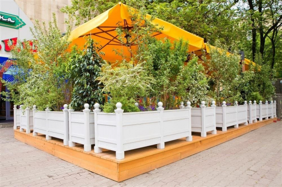 Dandy Cafe, г. Москва