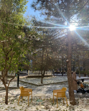 Кафе Setters, г. Ростов-на-Дону, Пушкинская, 181