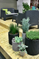 Набор пластиковых кашпо Keter Cylinder Planters пластик с имитацией плетения антрацит Фото 8