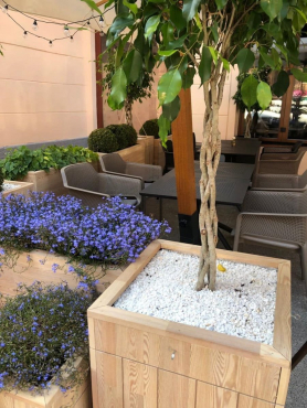 Ресторан The Sizzle, г. Санкт-Петербург