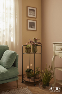 Агава декоративная EDG Agave светло-зеленый Фото 2