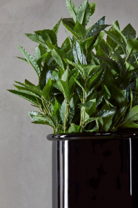 Ветвь лавровая декоративная EDG Laurel зеленый Фото 2