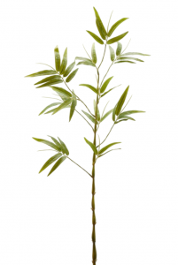 Ветвь бамбука декоративная EDG Bamboo зеленый Фото 1