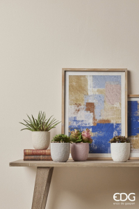 Агава декоративная EDG Agave зеленый, розовый Фото 2