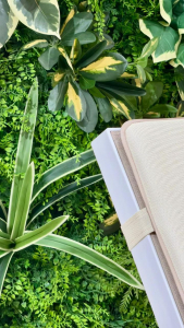 Матрас для шезлонга ReeHouse Mattress Acrylic белый Фото 4