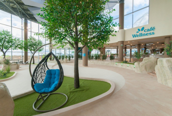 Термальный курорт 