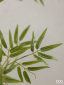 Ветвь бамбука декоративная EDG Bamboo зеленый Фото 2