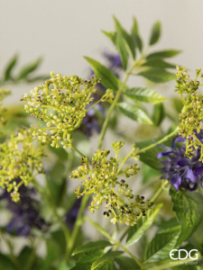 Укроп декоративный EDG Dill зеленый Фото 3