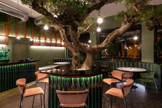 The Corner, Кунео, Италия