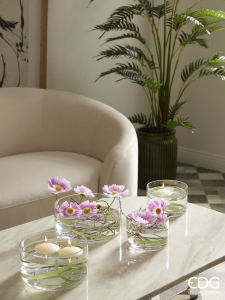 Космея декоративная EDG Cosmos двухцветный розовый Фото 2