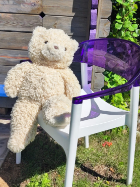 Частный проект