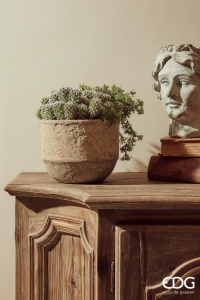 Кактус Западный декоративный 3 шт. EDG Cactus светло-зеленый Фото 2