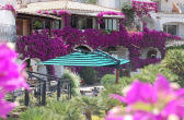 Зонт профессиональный двухкупольный 4х8 м Eden Garden Gemelli Split дерево/железо, акрил Фото 13