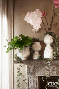 Бегония декоративная ниспадающая EDG Begonia зеленый, красный Фото 6