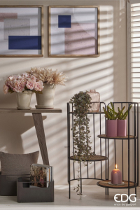 Бегония декоративная ниспадающая EDG Begonia зеленый, красный Фото 5