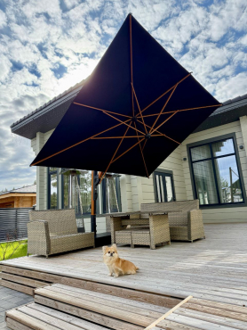 Частный проект, Санкт-Петербург