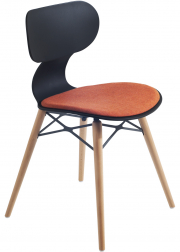 Стул пластиковый с обивкой-thumbs-Фото1