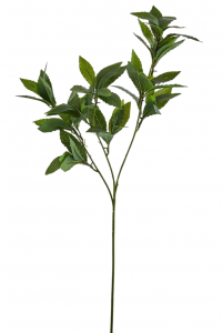 Ветвь лавровая декоративная EDG Laurel зеленый Фото 1