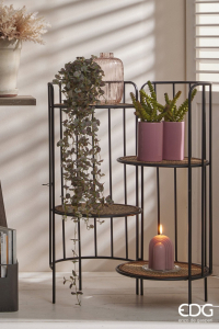 Бегония декоративная ниспадающая EDG Begonia зеленый, красный Фото 2