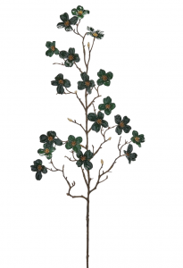 Корнус декоративный EDG Cornus зеленый Фото 1