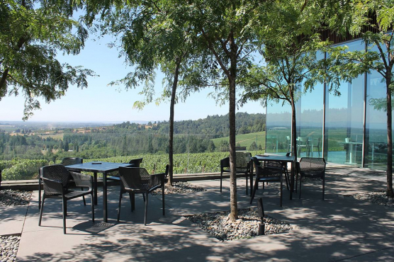 Furioso Vineyards, Данди, Орегон, США