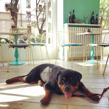 Uau Bar, Милан, Италия