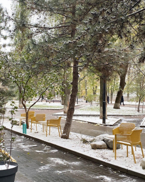 Кафе Setters, г. Ростов-на-Дону, Пушкинская, 181