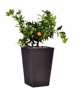 Кашпо пластиковое Keter Rattan Planter S пластик с имитацией плетения коричневый Фото 2