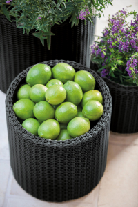 Набор пластиковых кашпо Keter Cylinder Planters пластик с имитацией плетения антрацит Фото 9