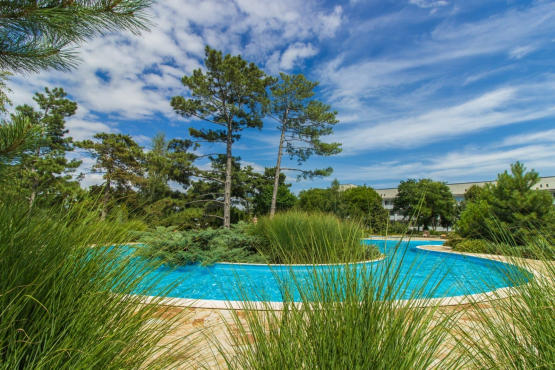 Санаторий Черноморец, г. Ялта