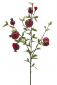 Ветвь граната декоративная EDG Pomegranate бургунди Фото 1