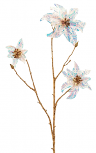 Цветок Рождественская Звезда Рекс Рефлекс EDG Star Rex Reflex золотой Фото 1