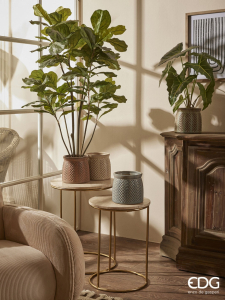 Алоказия декоративная EDG Alocasia зеленый Фото 6