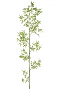 Ветвь бамбука декоративная EDG Bamboo зеленый Фото 1