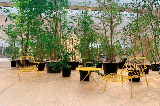 Foresta M9, Местре, Италия