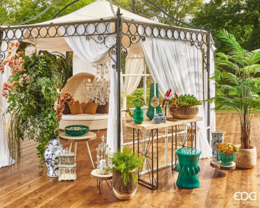 Аспарагус Шпренгера декоративный EDG Asparagus светло-зеленый Фото 2