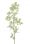Ветвь бамбука декоративная Bamboo
