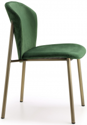 Стул с обивкой-thumbs-Фото1