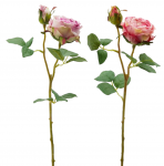 Роза декоративная Rose