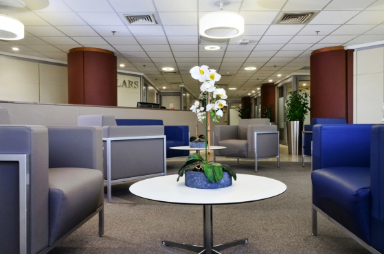 Templars, Нигерия