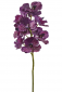 Орхидея Ванда декоративная EDG Orchid Vanda фиолетовый микс Фото 1