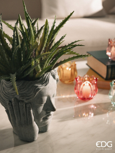 Агава декоративная EDG Agave зеленый, розовый Фото 4